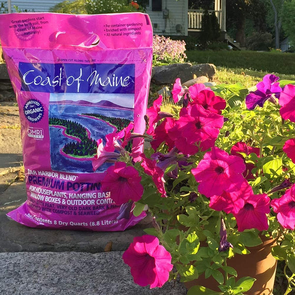 Coast of Maine Bar Harbor Blend Organic Potting Soil