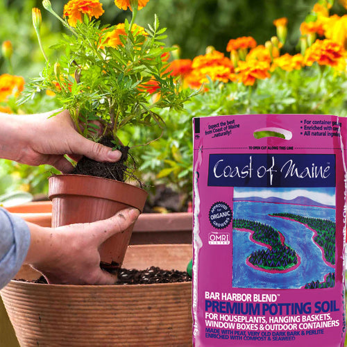 Coast of Maine Bar Harbor Blend Organic Potting Soil