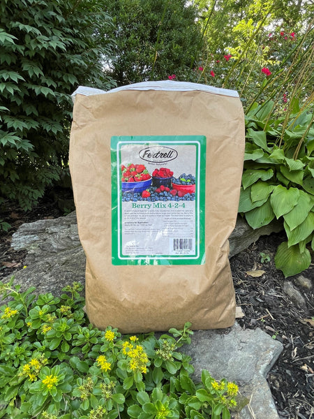 Berry Mix 4-2-4