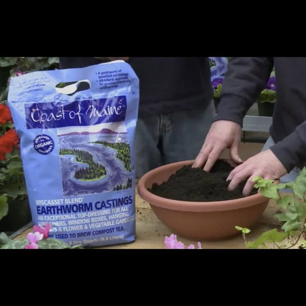 Coast of Maine Wiscasset Blend Organic Earthworm Castings