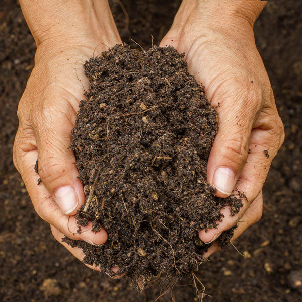 Soil Test Garden Lawn