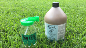 Fertilize your Lawn this Summer - it's not too late