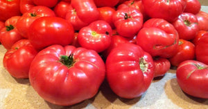 How to Grow Big Delicious Tomatoes and Peppers