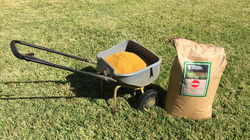 Fall Fertilizer: A great lawn next year starts now