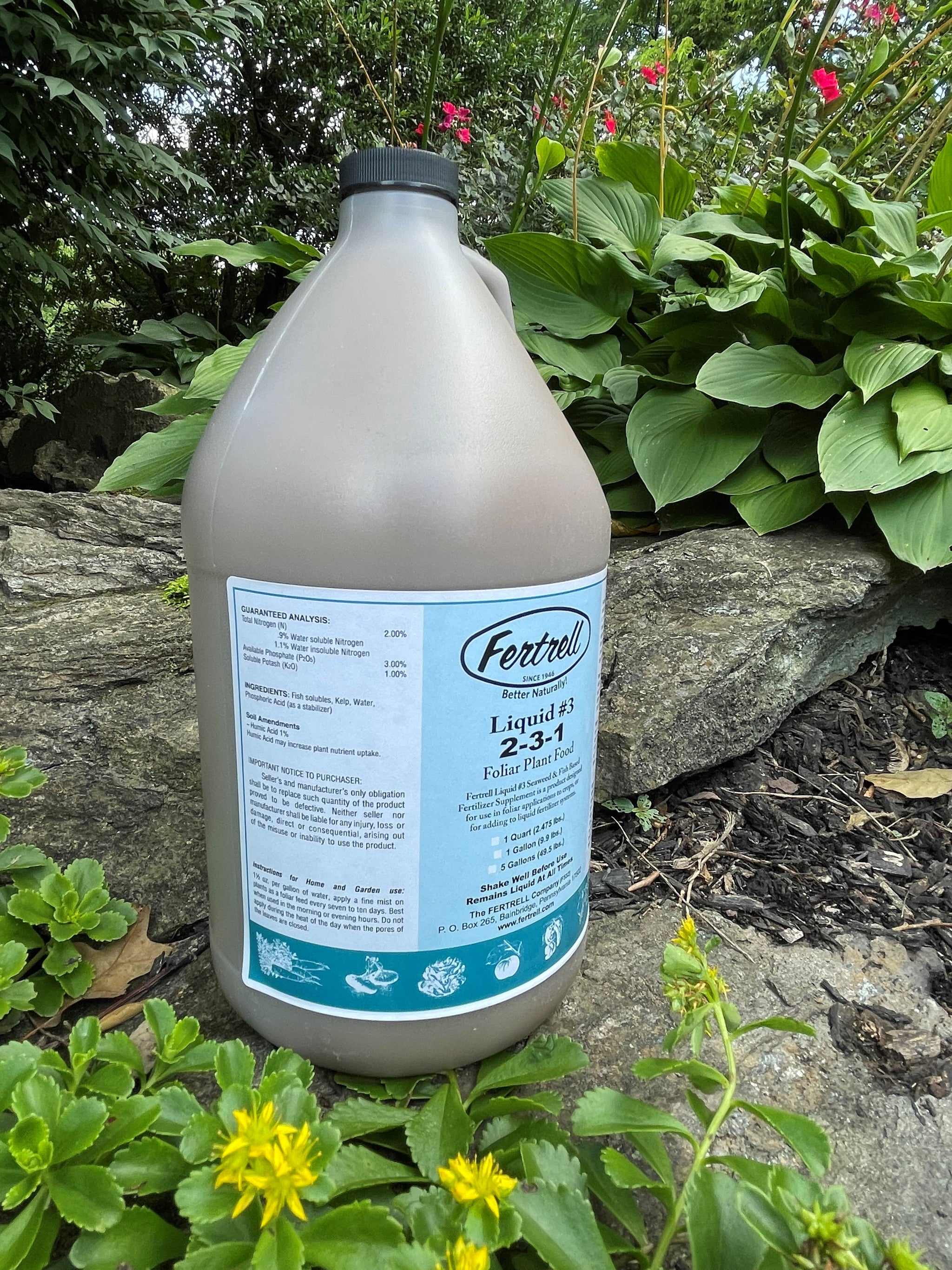Organic and natural kelp seaweed and fish phosphorus liquid fertilizer –  Easy Organic
