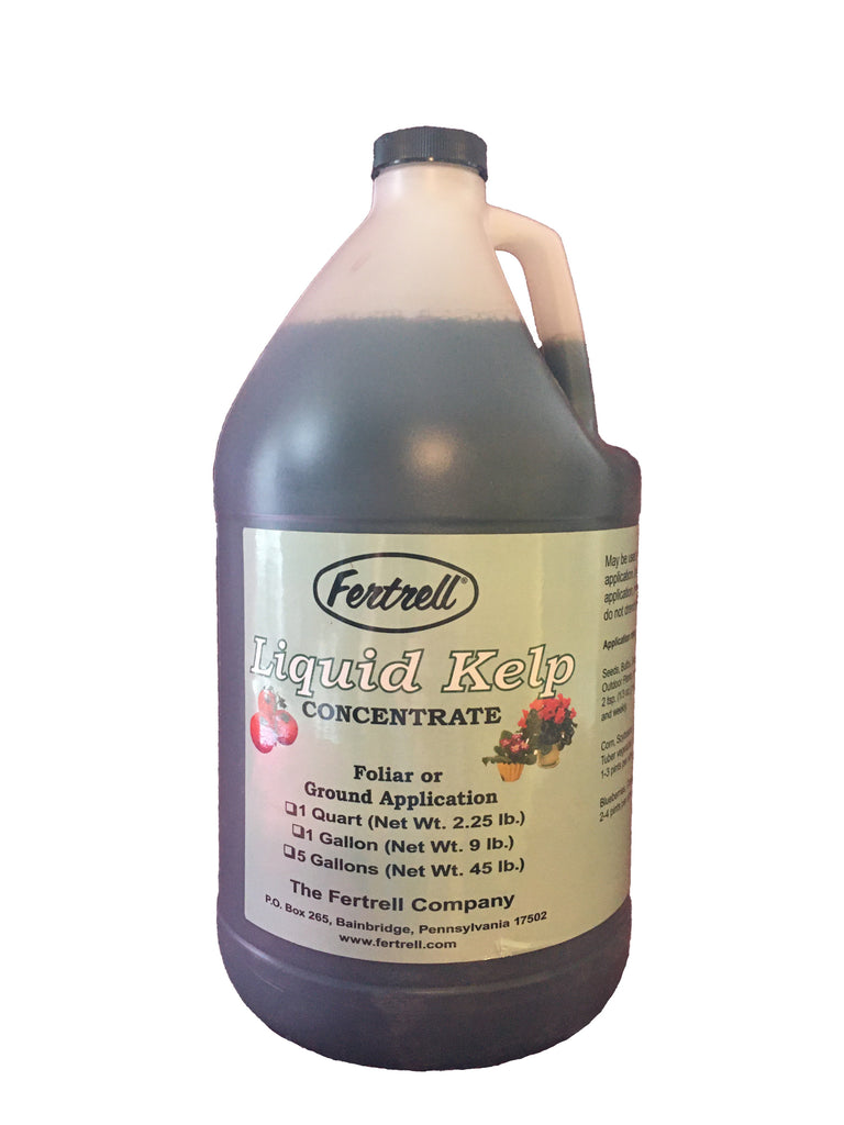 organic liquid kelp fertilizer Liquid kelp seaweed concentrate
