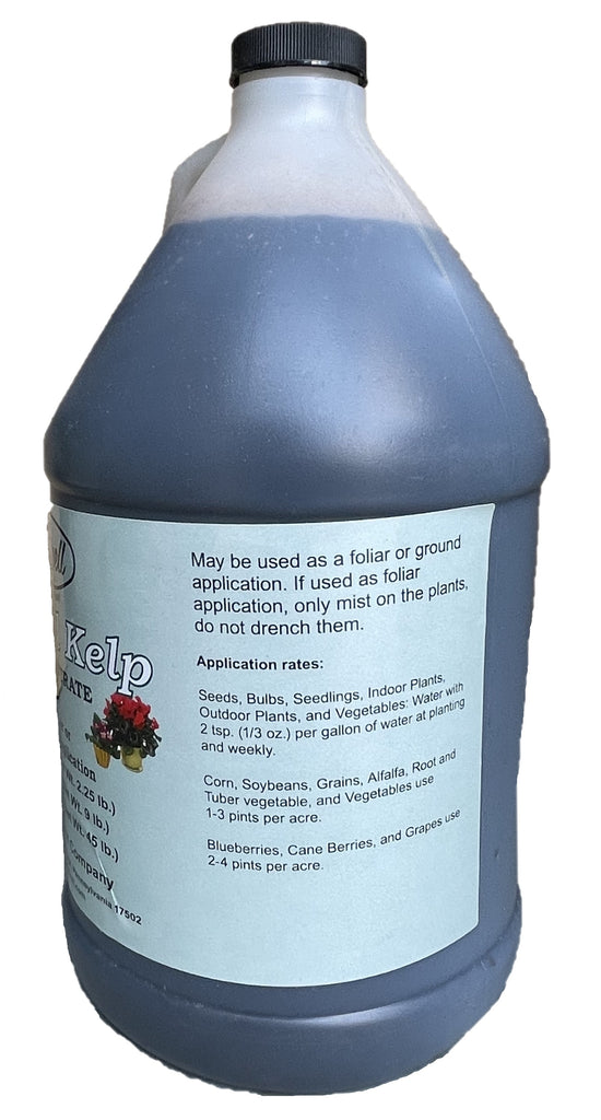 seaweed solution for indoor plants Liquid kelp seaweed concentrate