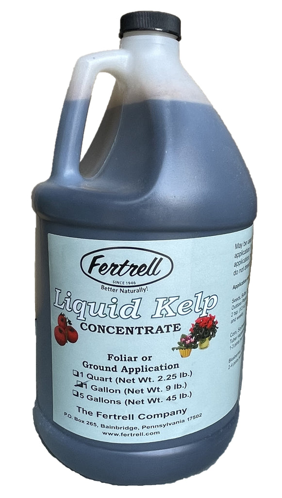 liquid seaweed for house plants Liquid kelp seaweed concentrate