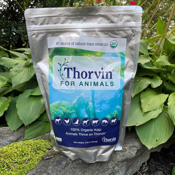 Thorvin for Animals Kelp