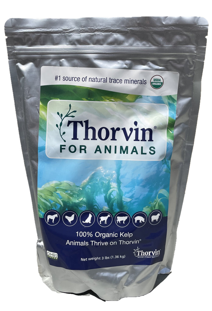 Organic Kelp Meal Fertilizer - 25 Lb Bag By Thorvin, All-Natural Seaweed For Garden
